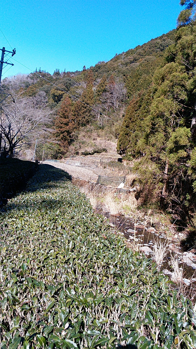 東倉川もくもく工房