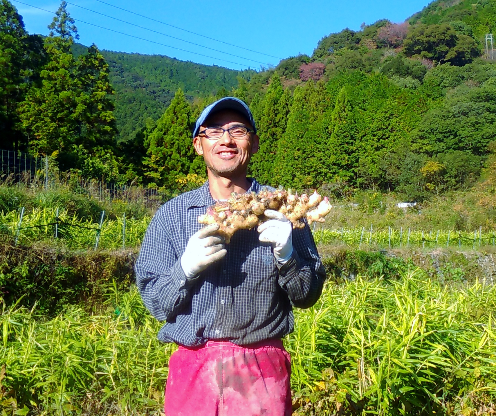 まんま自然農園