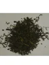 土佐派のお茶その1