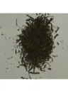 土佐派のお茶その2