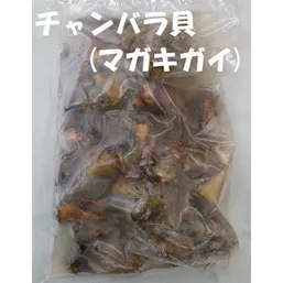 チャンバラ貝（マガキガイ）ボイル