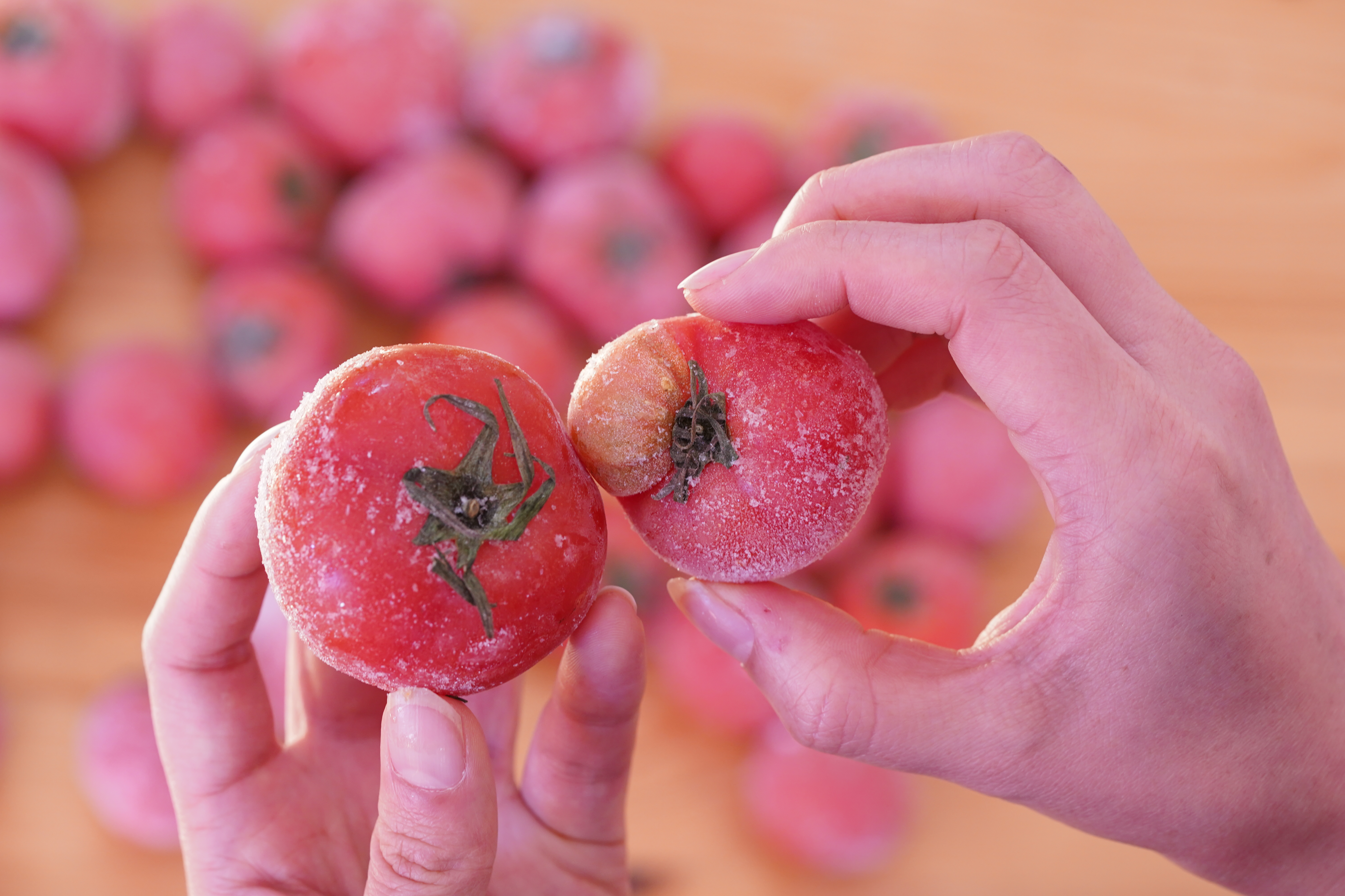 日高村わけありフルーツトマト（冷凍）