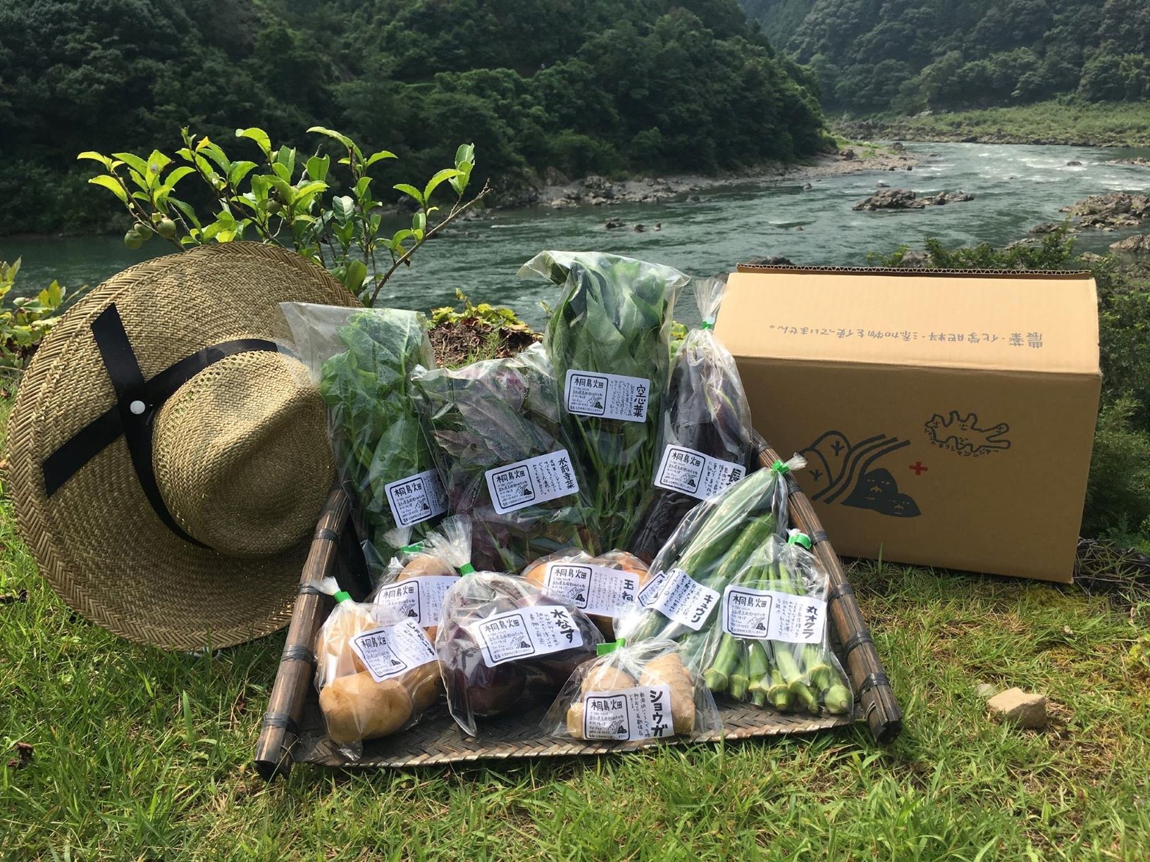 桐島畑の野菜セット