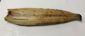 白焼 無頭／背割　　　（※国産鰻）