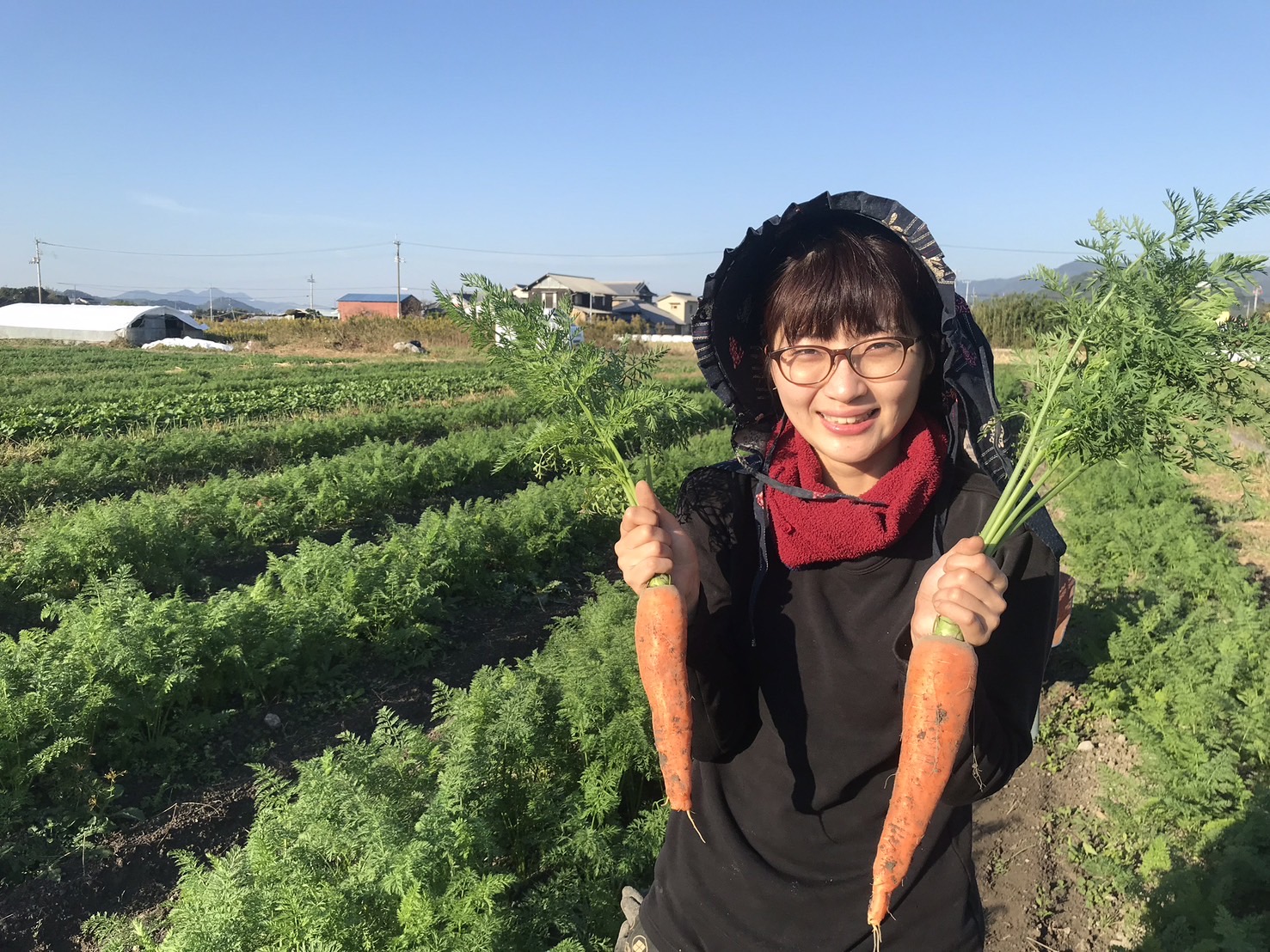 高知県産人参（クリスティーヌ）