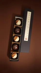 ひがしやま　土佐ショコラ