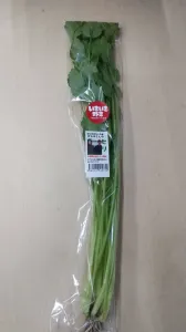 乳酸菌エキス栽培野菜　セリ